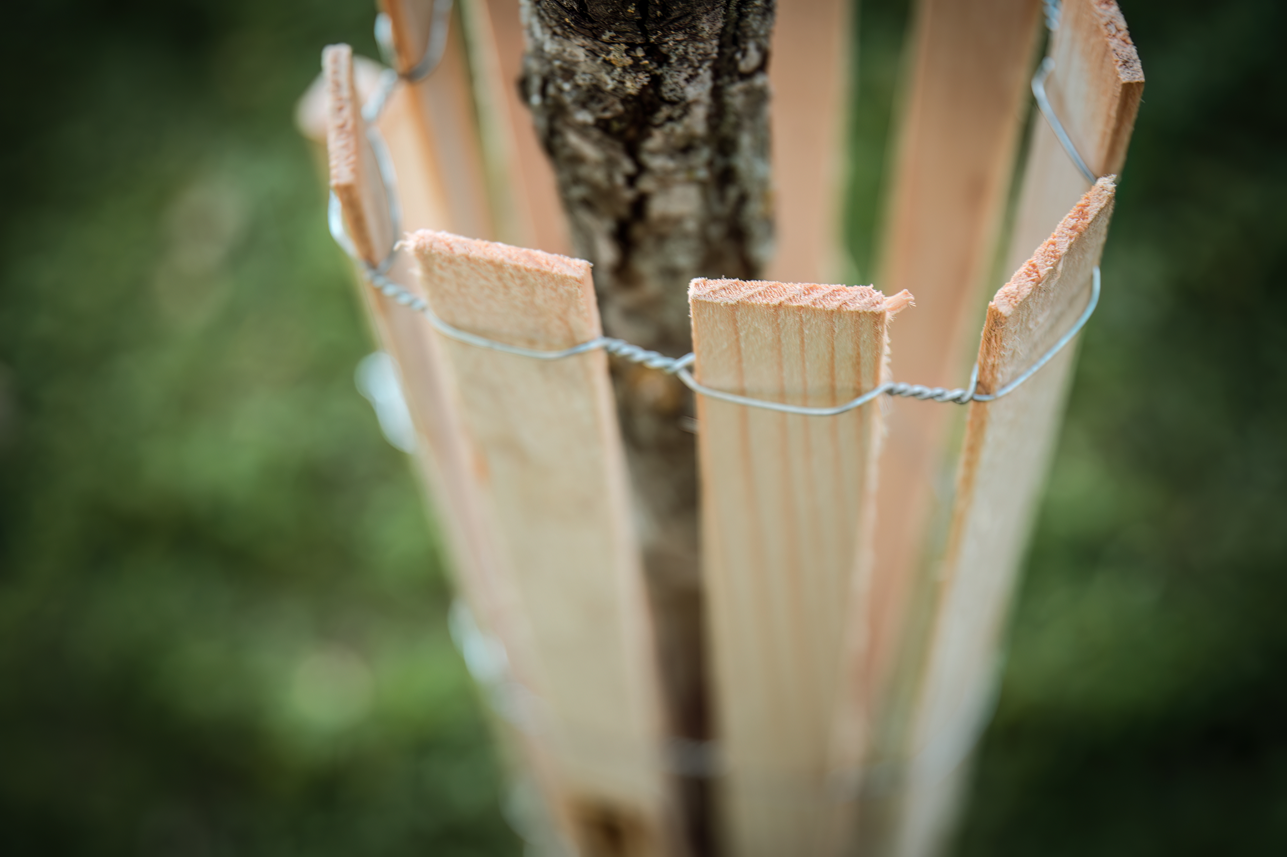 5 Stück Baumschutz aus Holz inklusive 5 Akazienpflöcke